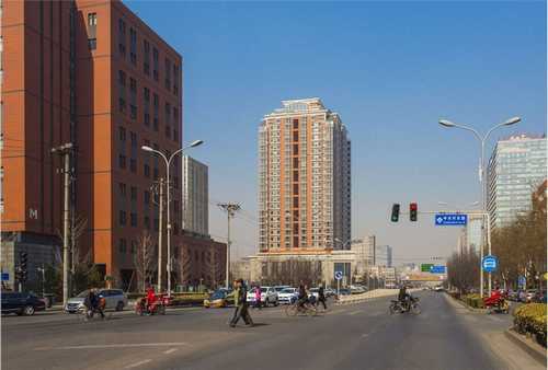 新疆挖孔木托盘