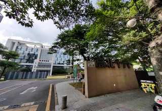 河南靠谱的玉米压片机联系人